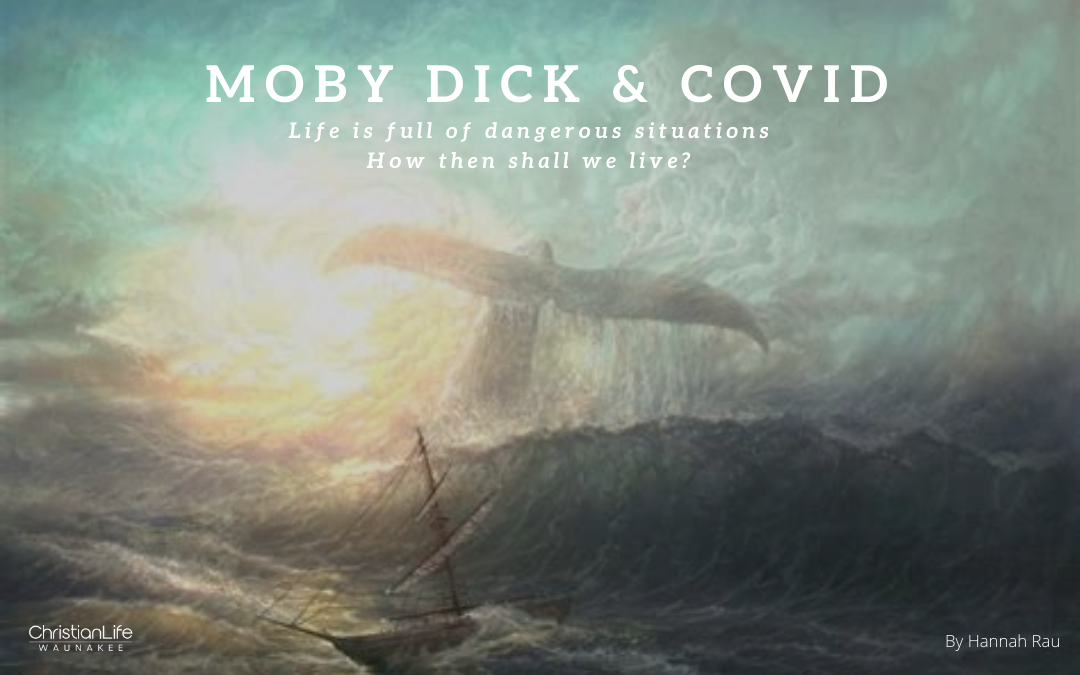 Moby Dick and Living with Risk as Christians