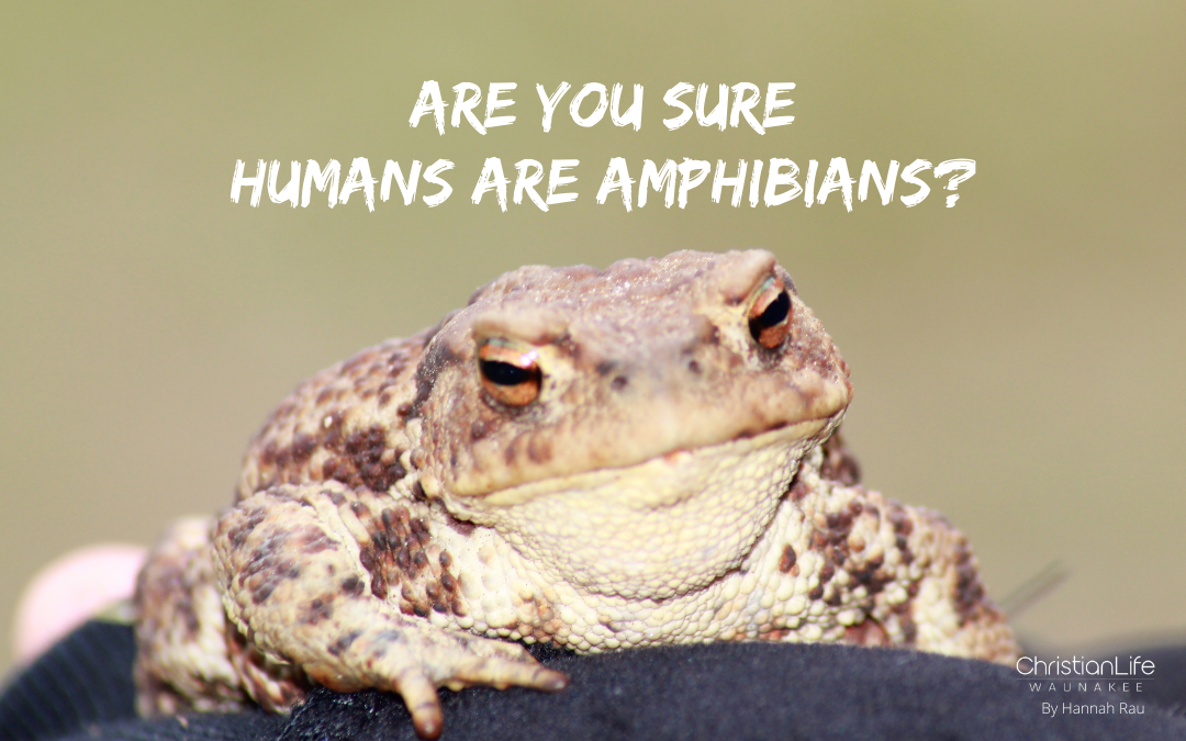 “Humans Are Amphibians”: The Trouble of Being Both Body and Soul