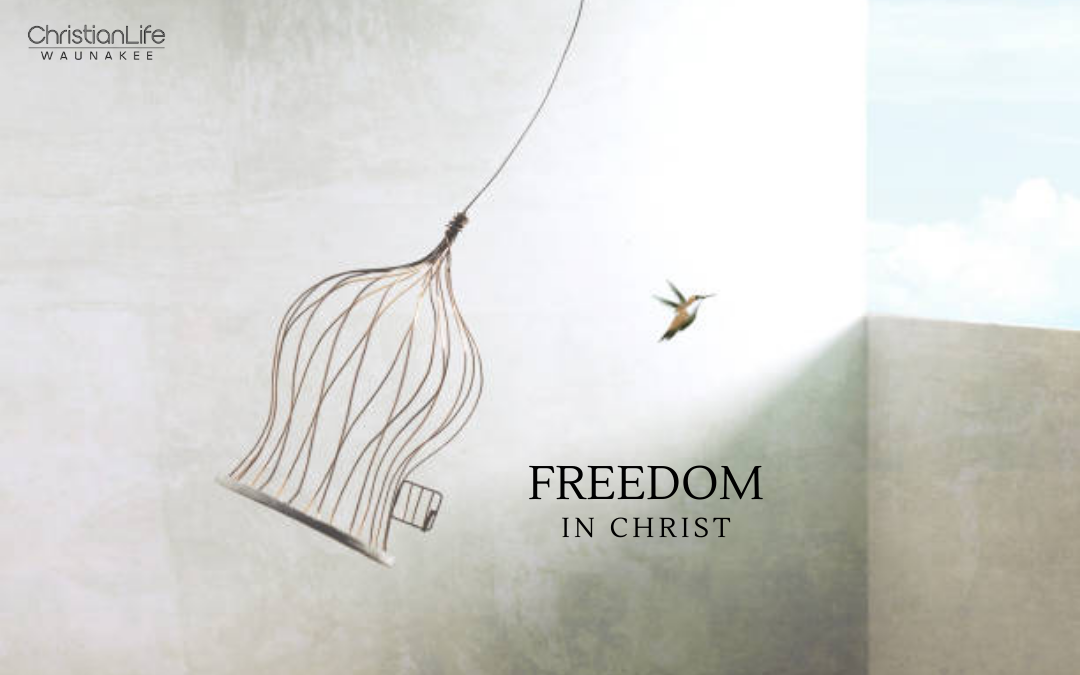 Freedom in the Christian Life