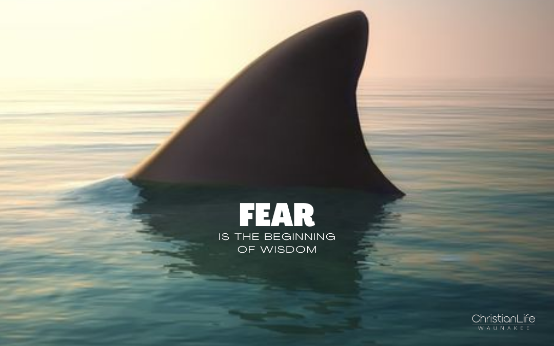 What We Can Learn from Fear