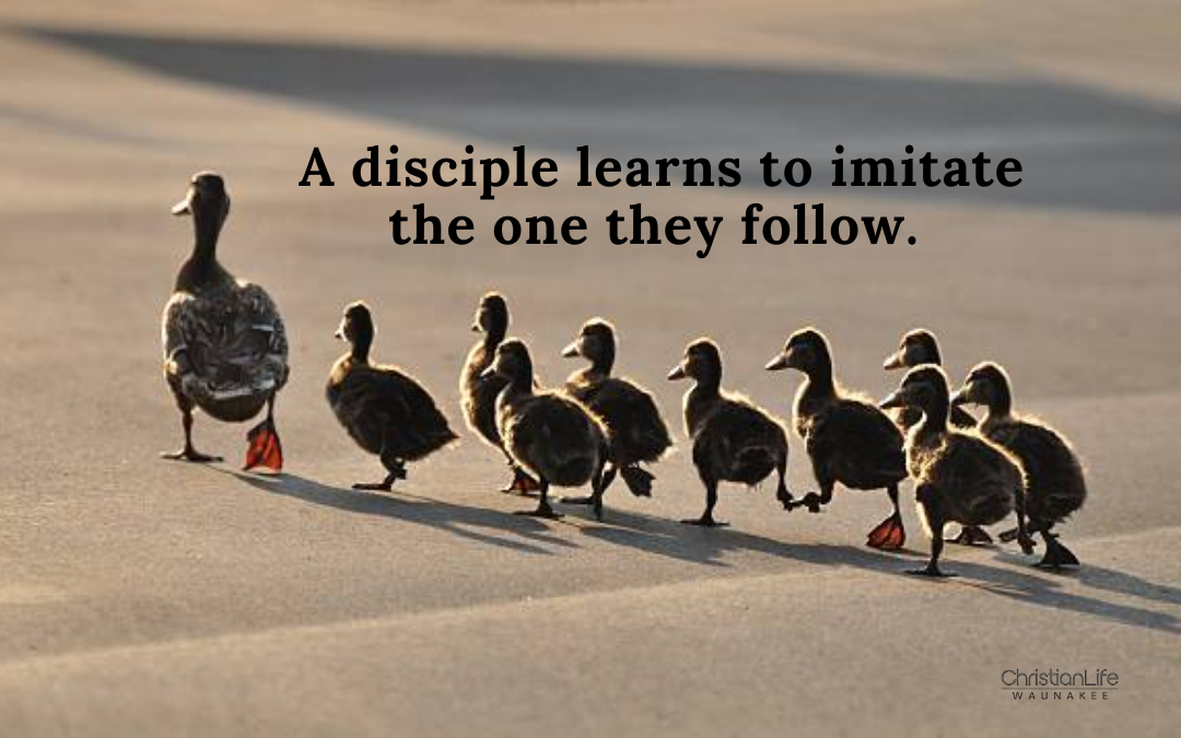 What is Discipleship?