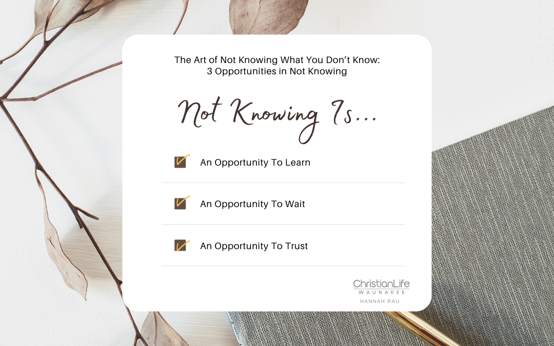 The Art of Not Knowing What You Don’t Know: 3 Opportunities in Not Knowing