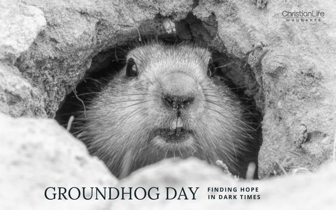 Dark Times, Hope, & Groundhogs