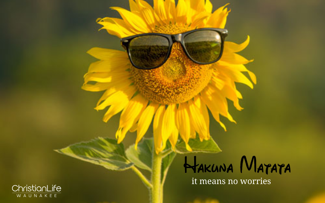 Hakuna Matata (It Means “No Worries”)