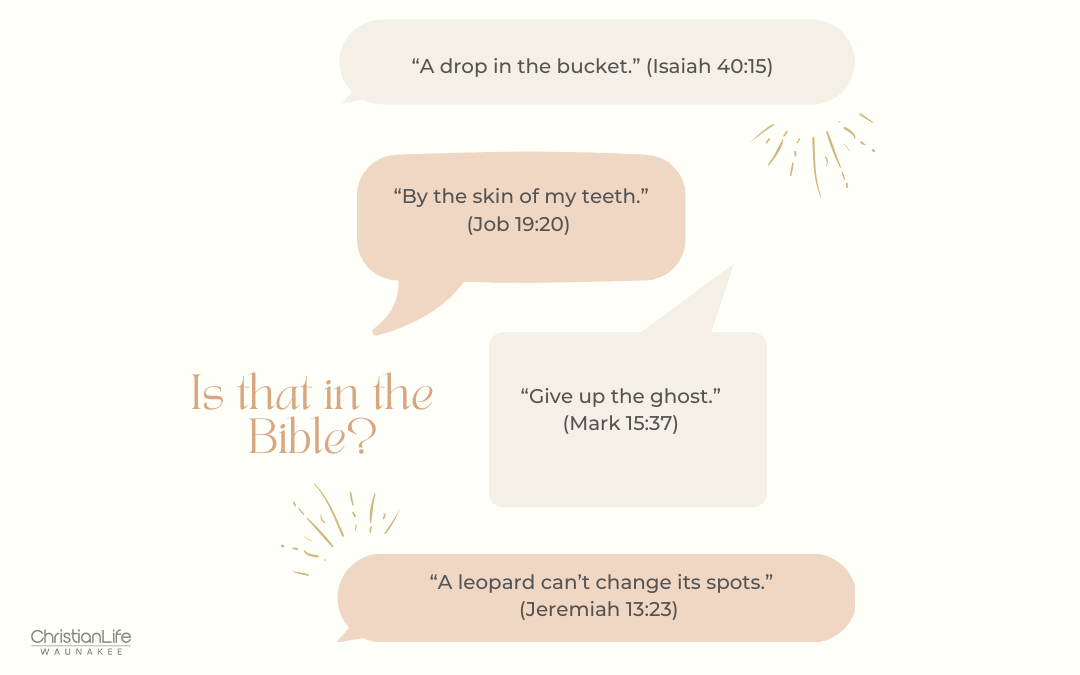 Is That in the Bible? 10 Common Sayings That Come from Scripture (and 5 That Don’t)